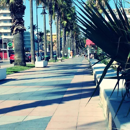 Apartamento Espléndido A Pie De Playa En *
